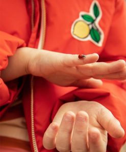 Modesurf.shop08e43068ef 4