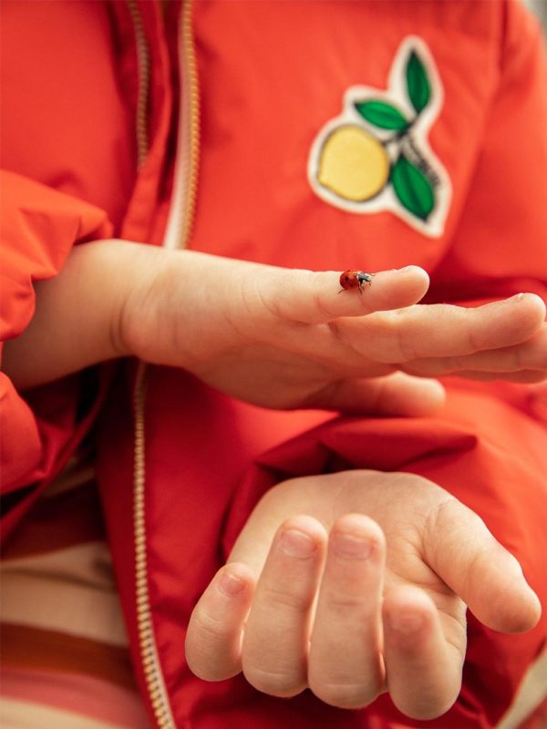 Modesurf.shop08e43068ef 4